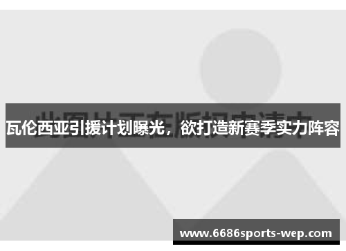 瓦伦西亚引援计划曝光，欲打造新赛季实力阵容