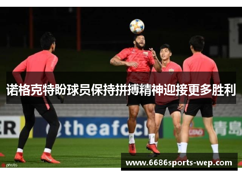 诺格克特盼球员保持拼搏精神迎接更多胜利