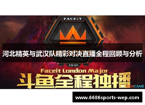 河北精英与武汉队精彩对决直播全程回顾与分析